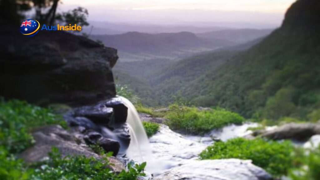 Hinterland Regional Park: Relax, Explore, Fun & More