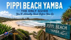 Panoramic view of Pippi Beach Yamba, NSW, featuring golden sand, turquoise ocean, surfers, dolphins, whale watching, and coastal walking trails.